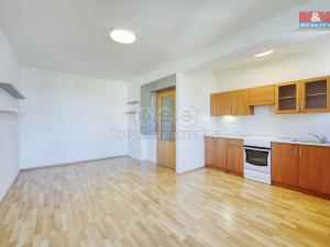 Pronájem bytu 1+kk, Město Touškov, U Špejcharu, 26 m2