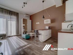 Pronájem bytu 1+kk, Zlín, Zahradní, 40 m2