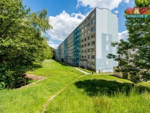 Prodej bytu 4+1, Litvínov - Janov, Luční, 78 m2