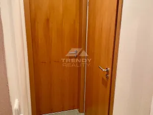 Pronájem bytu 3+1, Plzeň, Nad Přehradou, 79 m2