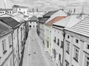 Prodej rodinného domu, Olomouc, Kapucínská, 255 m2