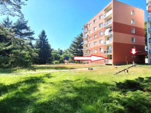 Prodej bytu 1+kk, Nový Bor, Sadová, 19 m2