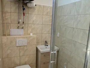 Pronájem bytu 1+kk, Brno, Dukelská třída, 27 m2