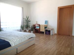 Pronájem bytu 3+1, Hlinsko, Wilsonova, 100 m2