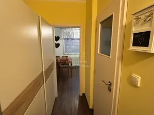 Pronájem bytu 1+1, Plzeň, Břeclavská, 39 m2