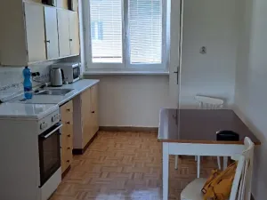 Pronájem bytu 2+1, Brno, Záhumenice, 60 m2