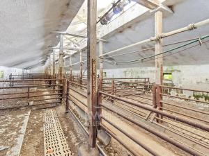 Prodej zemědělského objektu, Častrov, 410 m2