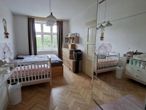 Pronájem bytu 2+1, Praha - Žižkov, Jičínská, 67 m2