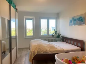 Pronájem bytu 2+1, Ostrava, Sokolovská, 60 m2