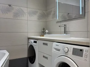 Pronájem bytu 3+kk, Mladá Boleslav, Purkyňova, 64 m2