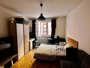 Pronájem bytu 1+kk, Praha - Holešovice, V háji, 31 m2