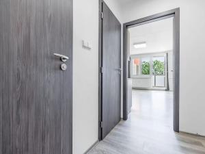 Pronájem bytu 1+kk, České Budějovice, Dlouhá, 37 m2