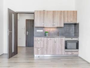 Pronájem bytu 1+kk, České Budějovice, Dlouhá, 37 m2