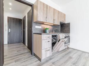 Pronájem bytu 1+kk, České Budějovice, Dlouhá, 37 m2