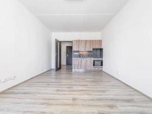 Pronájem bytu 1+kk, České Budějovice, Dlouhá, 37 m2