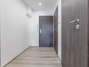 Pronájem bytu 1+kk, České Budějovice, Dlouhá, 37 m2