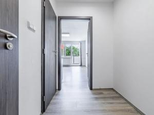 Pronájem bytu 1+kk, České Budějovice, Dlouhá, 37 m2
