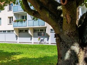 Pronájem bytu 1+kk, České Budějovice, Dlouhá, 37 m2