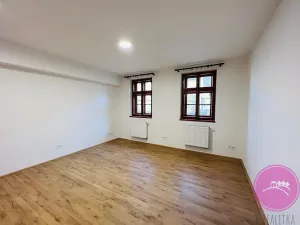 Pronájem bytu 1+kk, Olomouc, Uhelná, 40 m2