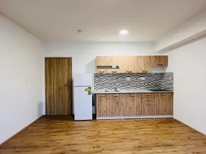 Pronájem bytu 1+kk, Olomouc, Uhelná, 40 m2