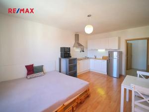 Pronájem bytu 1+kk, Plzeň, Božkovská, 34 m2