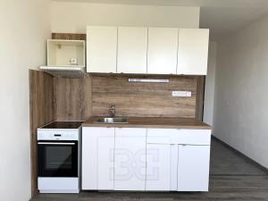 Pronájem bytu 1+1, Písek, třída Přátelství, 36 m2