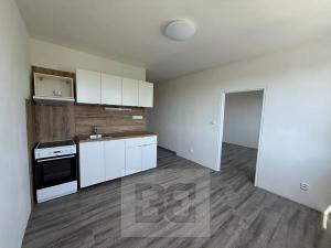Pronájem bytu 1+1, Písek, třída Přátelství, 36 m2