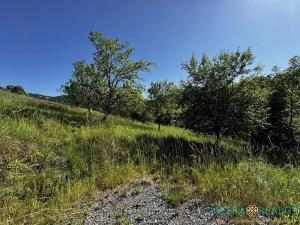Prodej pozemku pro bydlení, Velká Lhota, 11334 m2