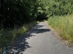 Prodej pozemku pro bydlení, Velká Lhota, 11334 m2