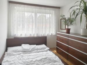 Pronájem bytu 4+1, Staré Město, 100 m2