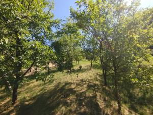 Prodej rodinného domu, Vlčnov, 135 m2