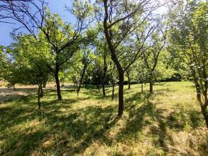 Prodej rodinného domu, Vlčnov, 135 m2