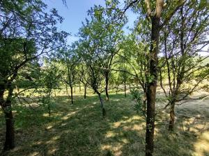 Prodej rodinného domu, Vlčnov, 135 m2