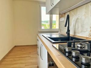 Pronájem bytu 2+1, Ústí nad Labem, Hornická, 59 m2