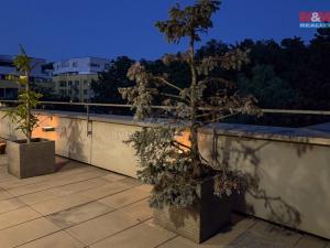 Prodej bytu 5+kk, Praha, Jeseniova, 176 m2