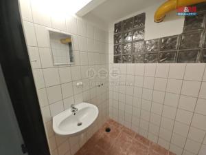 Pronájem obchodního prostoru, Opava - Předměstí, Rybářská, 50 m2