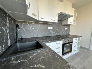 Pronájem bytu 2+1, Děčín, Krásnostudenecká, 50 m2