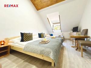 Pronájem atypického bytu, Volary, K. V. Raise, 392 m2