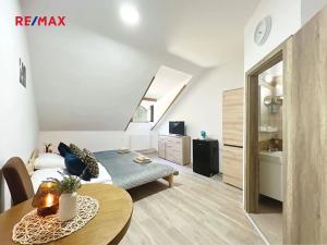Pronájem atypického bytu, Volary, K. V. Raise, 392 m2