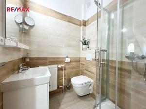 Pronájem atypického bytu, Volary, K. V. Raise, 392 m2