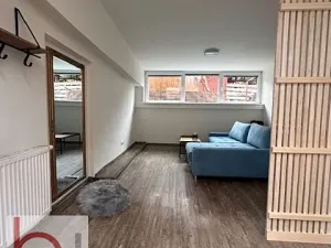 Pronájem bytu 1+kk, Český Krumlov, Stříbrná, 33 m2