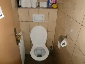 Dražba rodinného domu, Plch, 233 m2