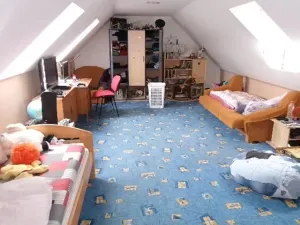 Dražba rodinného domu, Plch, 233 m2