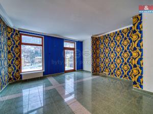 Prodej bytu 5+1, Karlovy Vary, Zámecký vrch, 365 m2