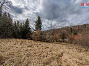Prodej pozemku pro bydlení, Zubří, 3721 m2