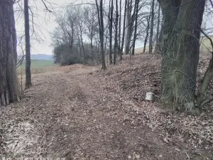 Dražba rybníku, Všepadly, 81215 m2