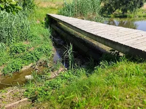 Pronájem rybníku, Bukovina, 6087 m2