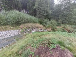 Pronájem rybníku, Brtnice, 6364 m2