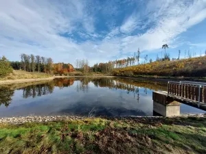 Pronájem rybníku, Kutná Hora, Uhelná, 11298 m2