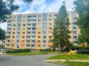 Prodej bytu 1+1, Železný Brod, Na Vápence, 34 m2